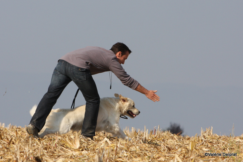 Field Erstein 09 (120).JPG